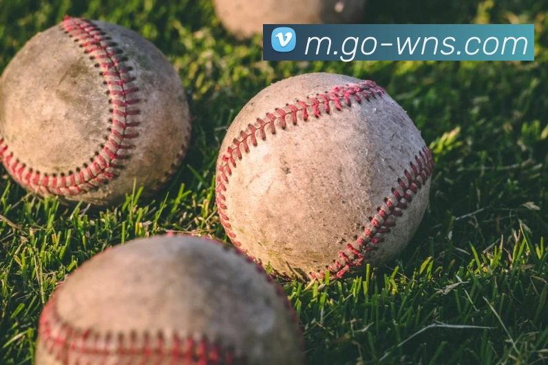 威尼斯人官网服务体系